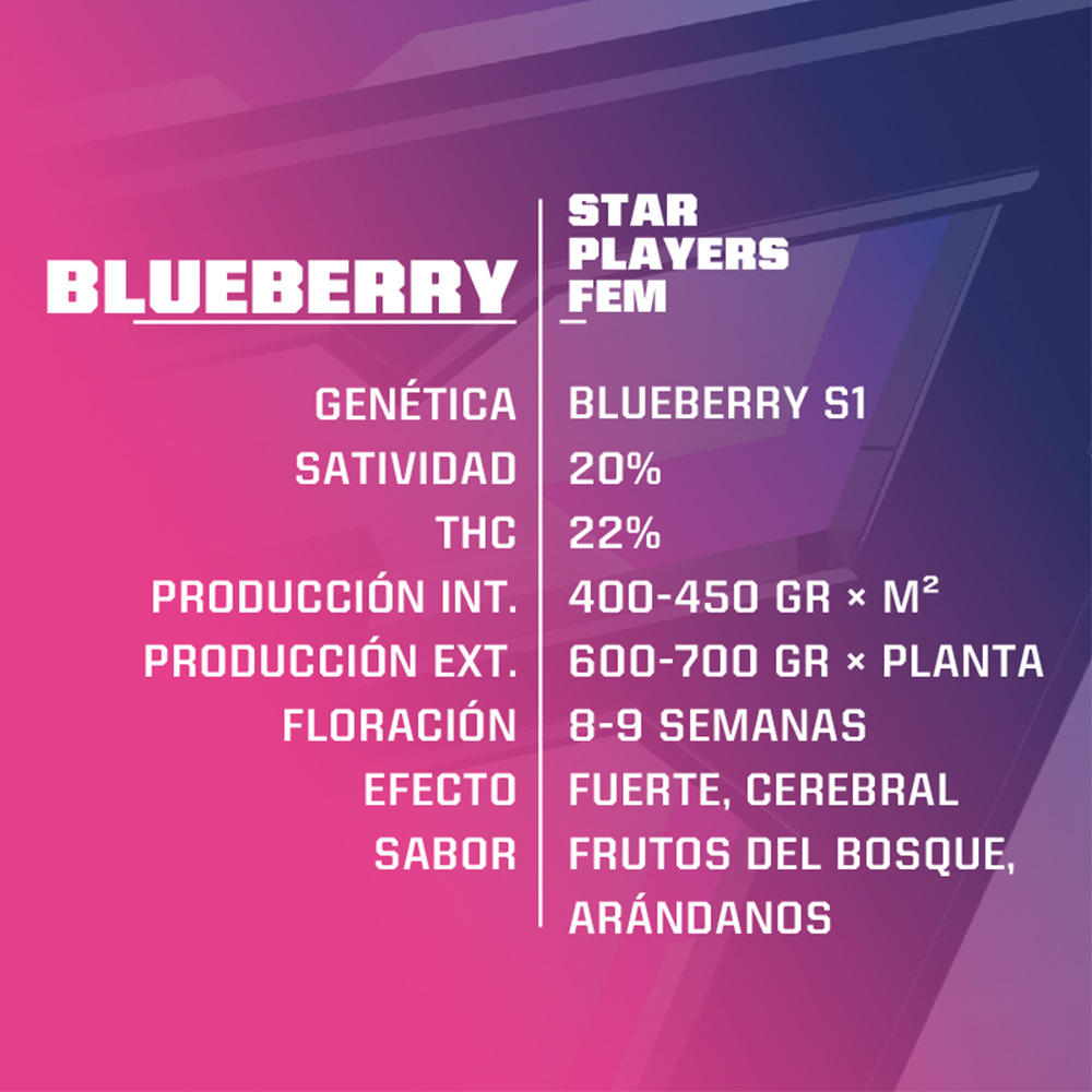 Blueberry - Imagen 3