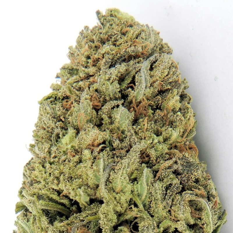 Fast & Vast Auto