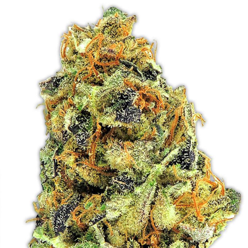 K.O.Kush