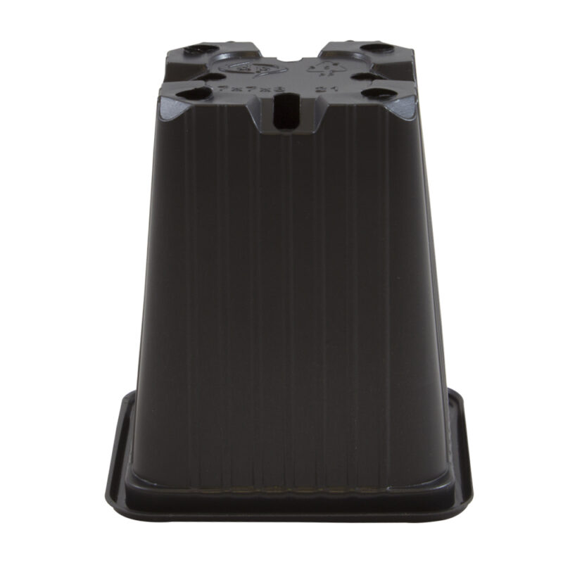 Maceta 7 x 7 x 8 (0,40L) Serie F Negra - Imagen 2