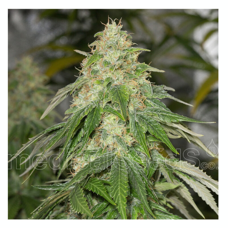 Some Sweet