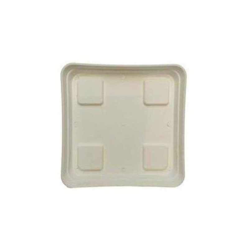 Plato cuadrado 20x20 blanco