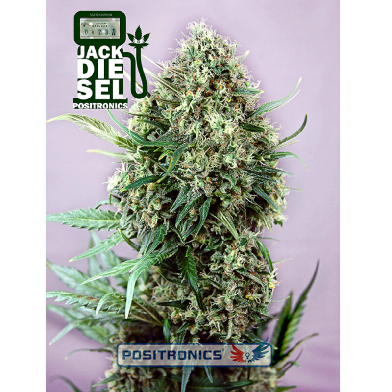Jack Diesel