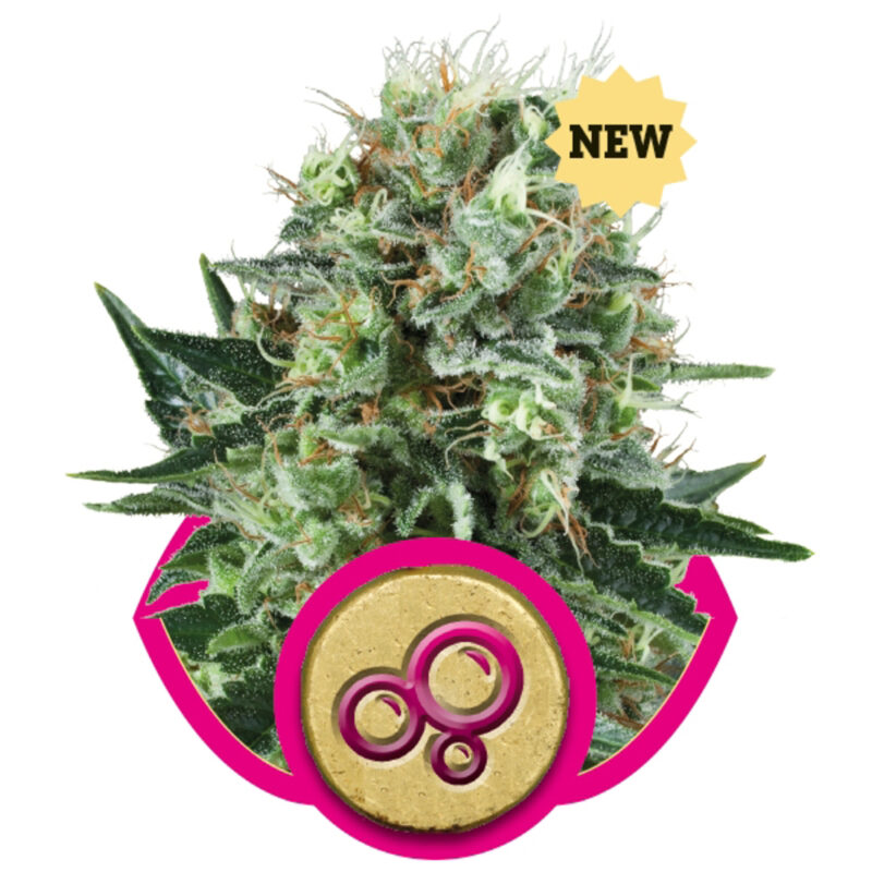 Banana Kush Cake