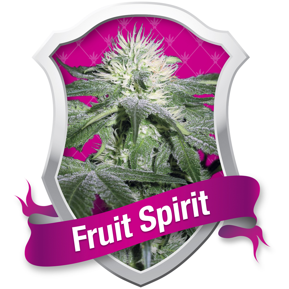 Fruit spirit