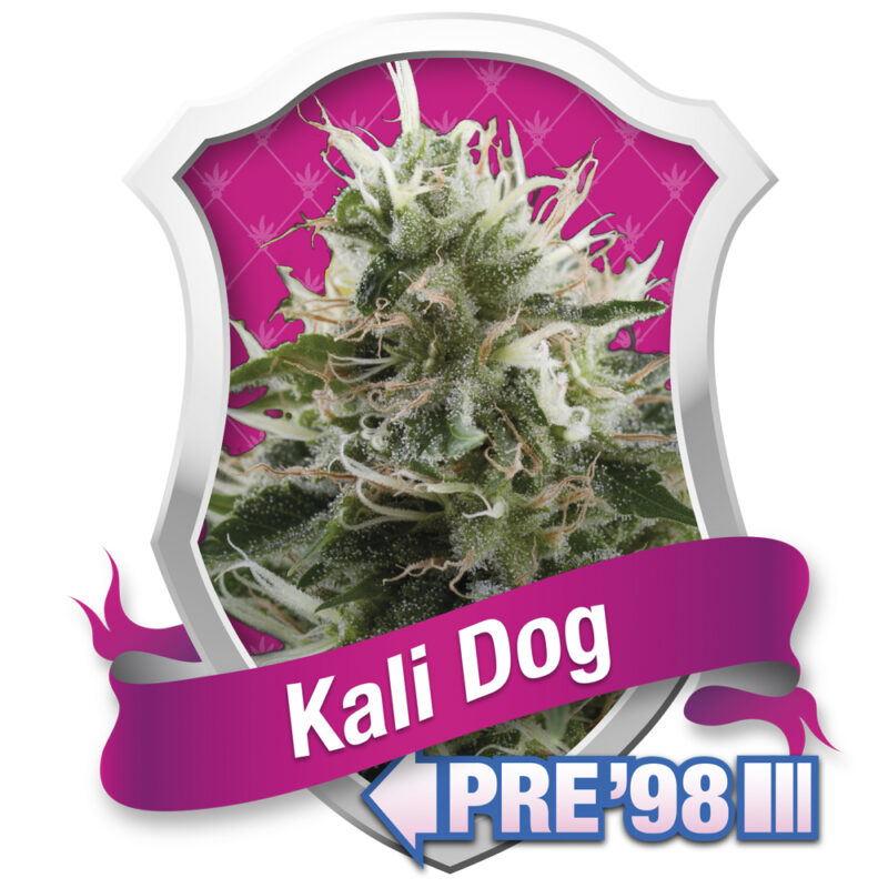 Super OG Kush 50+20