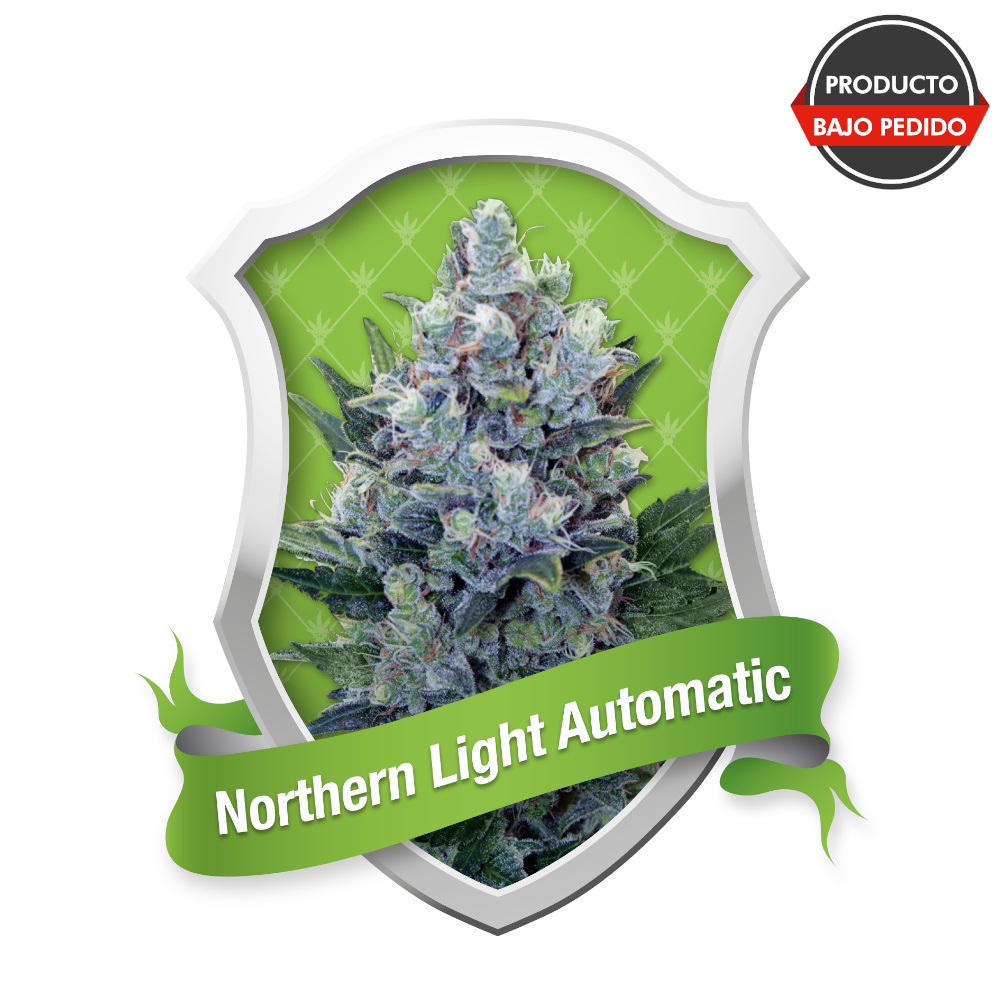 Northern Light Automatic