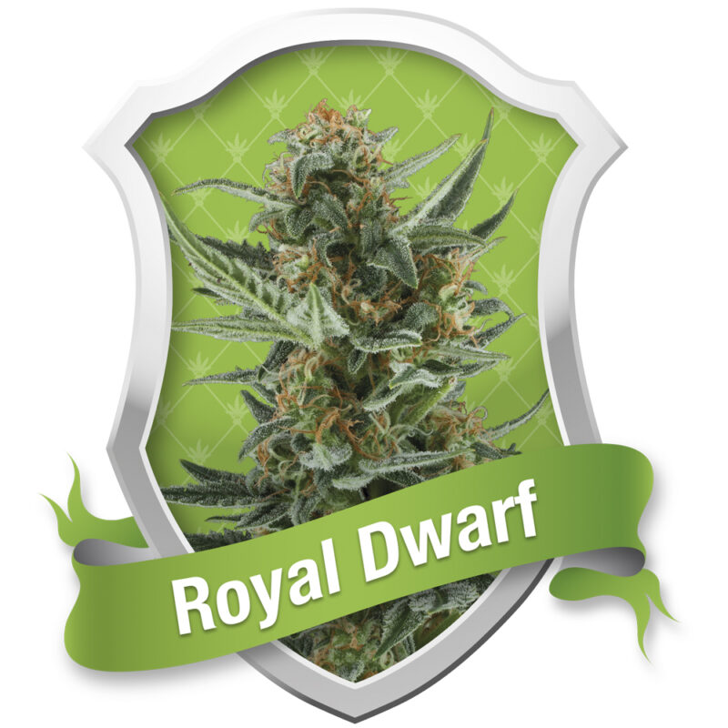 Terpenos Critical 1ml