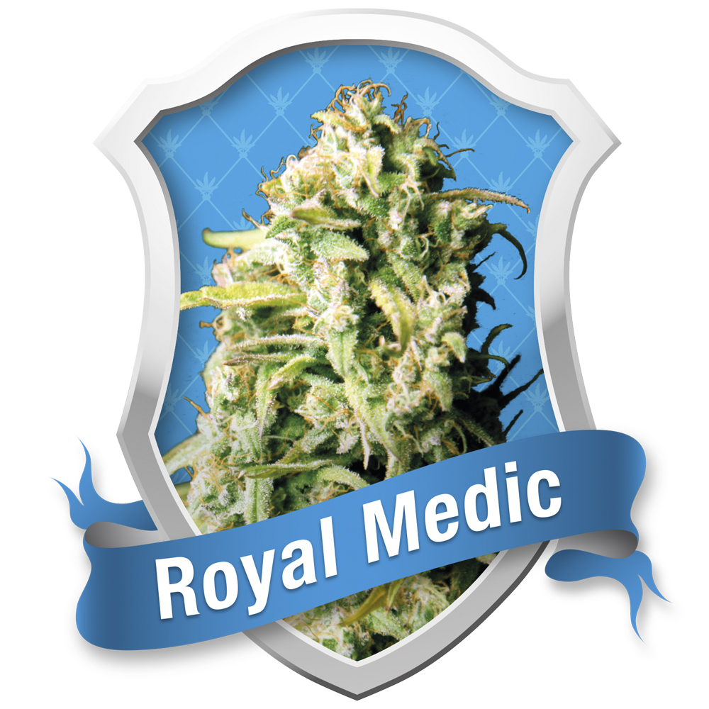 Royal Medic