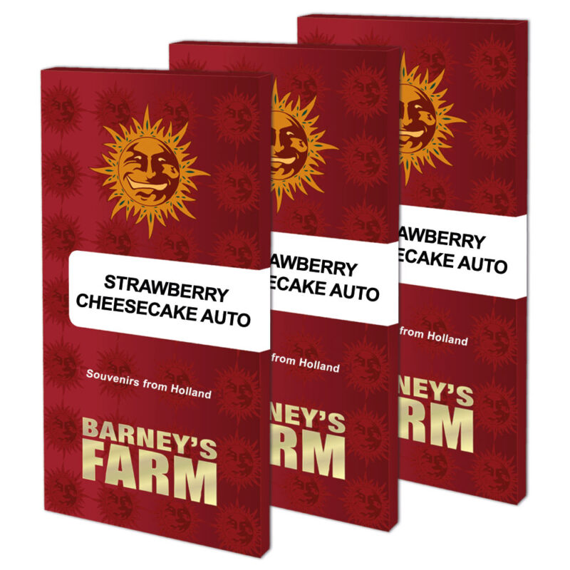 Strawberry Cheesecake Auto - Imagen 2