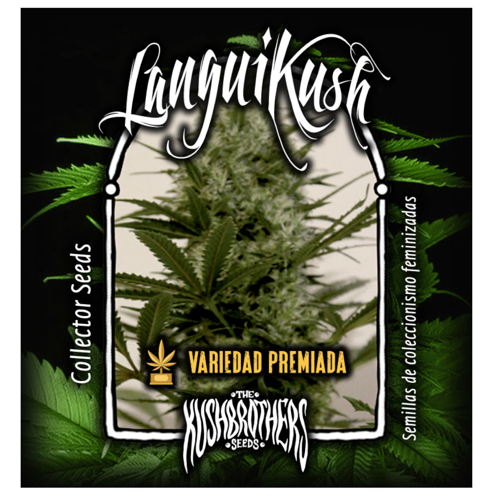 Langui Kush